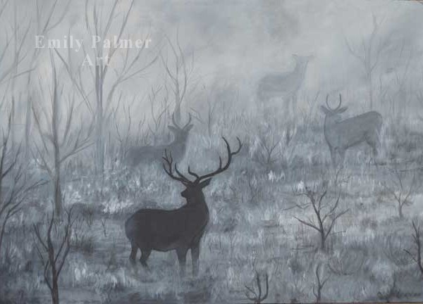 Foggy Morning Elk
